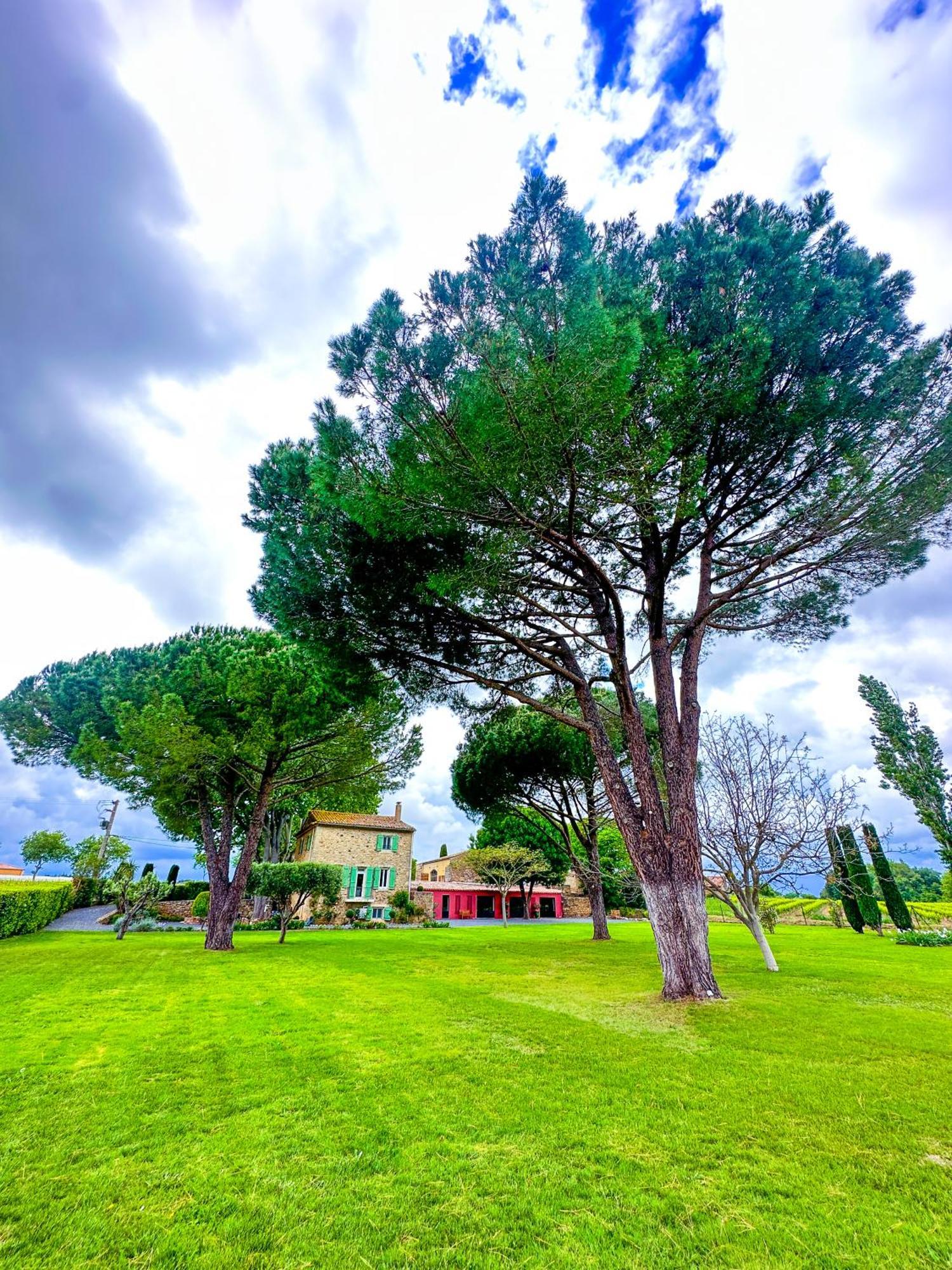 Domaine La Mouline Pezenas Luaran gambar